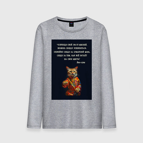 Мужской лонгслив Кот Лао дзы: позволь сердцу успокоиться / Меланж – фото 1
