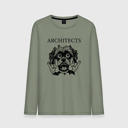 Лонгслив хлопковый мужской Architects - rock dog, цвет: авокадо