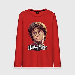 Мужской лонгслив Harry Potter wizard