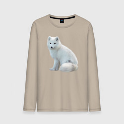 Лонгслив хлопковый мужской Белая северная лиса, цвет: миндальный
