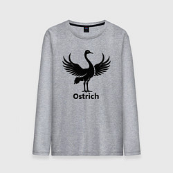 Лонгслив хлопковый мужской Страус с крыльями, цвет: меланж