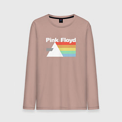 Мужской лонгслив Pink Floyd