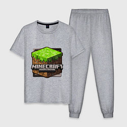 Пижама хлопковая мужская Minecraft: Pocket Edition, цвет: меланж