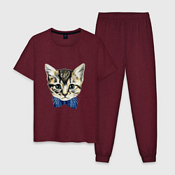 Пижама хлопковая мужская Мистер котик, цвет: меланж-бордовый