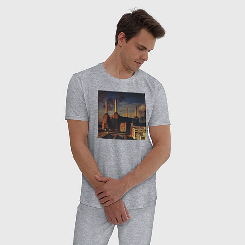 Мужская пижама Pink Floyd: Animals / Меланж – фото 3