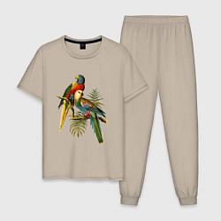 Пижама хлопковая мужская Тропические попугаи, цвет: миндальный
