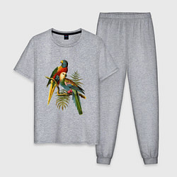 Пижама хлопковая мужская Тропические попугаи, цвет: меланж