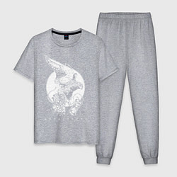 Пижама хлопковая мужская Architects: Wild Eagle, цвет: меланж
