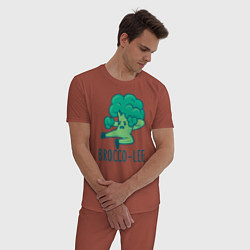 Пижама хлопковая мужская Brocco Lee, цвет: кирпичный — фото 2