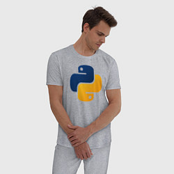 Пижама хлопковая мужская Python, цвет: меланж — фото 2