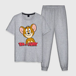 Пижама хлопковая мужская Tom & Jerry, цвет: меланж