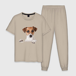 Мужская пижама Собака
