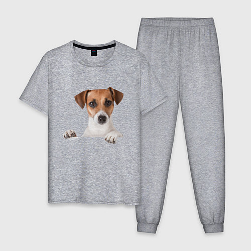 Мужская пижама Собака / Меланж – фото 1