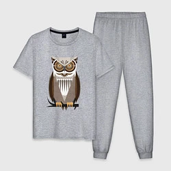 Пижама хлопковая мужская Бдительная сова, цвет: меланж