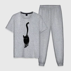 Пижама хлопковая мужская Черный кот тушью, цвет: меланж