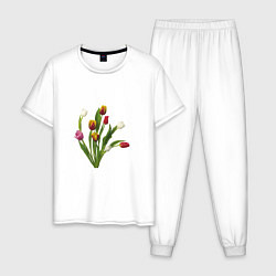 Пижама хлопковая мужская Букет разноцветных тюльпанов, цвет: белый