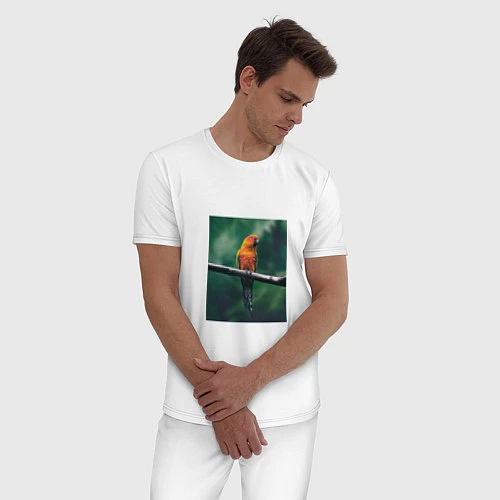 Мужская пижама Попугай сидит на ветке / Белый – фото 3