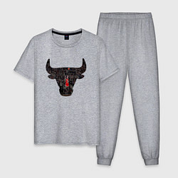 Мужская пижама Bulls - Jordan