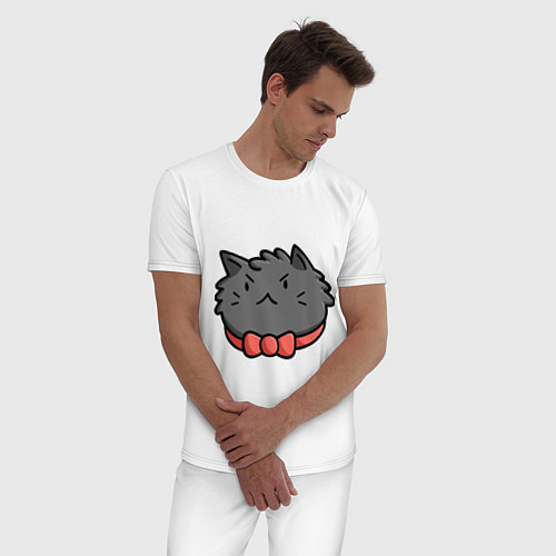 Мужская пижама Серьезный кот с бантиком / Белый – фото 3