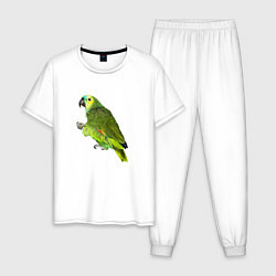 Пижама хлопковая мужская Попугайчик, цвет: белый