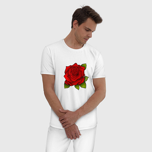 Мужская пижама Красная роза Рисунок / Белый – фото 3