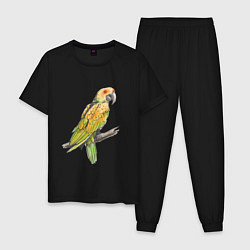 Пижама хлопковая мужская Любимый попугай, цвет: черный