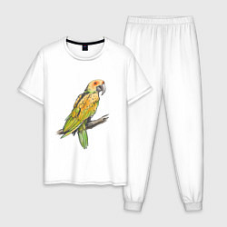 Пижама хлопковая мужская Любимый попугай, цвет: белый