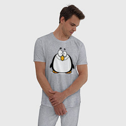 Пижама хлопковая мужская Глазастый пингвин, цвет: меланж — фото 2