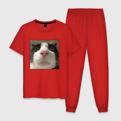 Пижама хлопковая мужская Задумчивый кот, цвет: красный