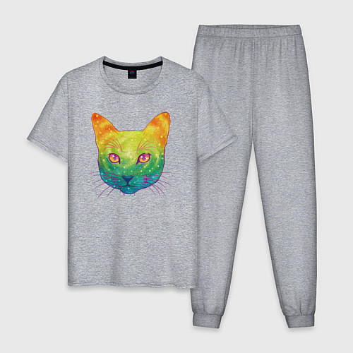 Мужская пижама Радужный котик rainbow cat / Меланж – фото 1