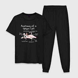 Пижама хлопковая мужская Анатомия кошки сфинкса, цвет: черный