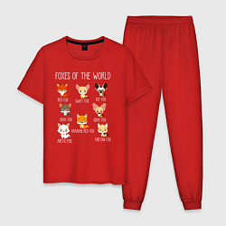 Пижама хлопковая мужская Лисы Мира, цвет: красный