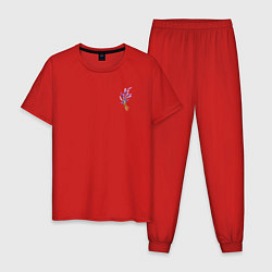 Пижама хлопковая мужская Лаванда прованс, цвет: красный