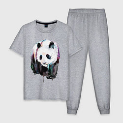 Пижама хлопковая мужская Панда - акварель, цвет: меланж