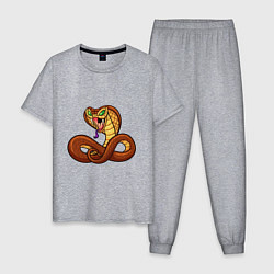 Пижама хлопковая мужская Для любителей змей, цвет: меланж