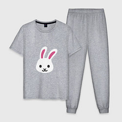 Пижама хлопковая мужская Мордочка белого зайца, цвет: меланж