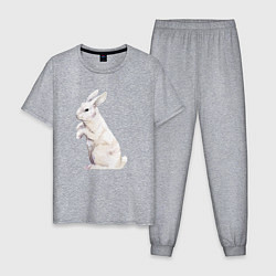 Пижама хлопковая мужская Белый милый кролик, цвет: меланж