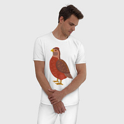 Пижама хлопковая мужская Птичка перепел, цвет: белый — фото 2