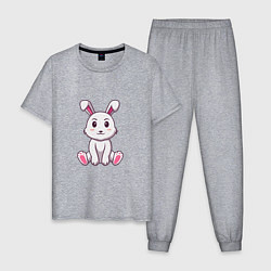 Пижама хлопковая мужская Кролик, цвет: меланж