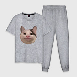 Мужская пижама Polite cat meme