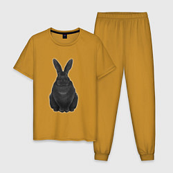 Мужская пижама Черный водяной кролик - 2023