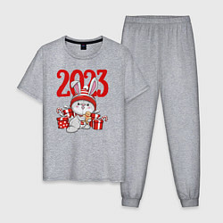 Пижама хлопковая мужская Зайка в подарках 2023, цвет: меланж