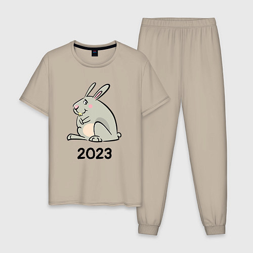 Мужская пижама Большой кролик 2023 / Миндальный – фото 1