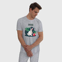 Пижама хлопковая мужская Новогодний кролик 2023, цвет: меланж — фото 2