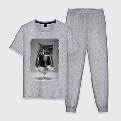 Пижама хлопковая мужская Котёнок в бокале, цвет: меланж