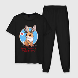 Пижама хлопковая мужская Кролик встречает новый год, цвет: черный