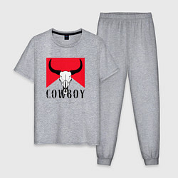 Пижама хлопковая мужская Череп буйвола:Cowboy, цвет: меланж