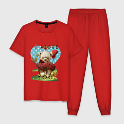 Пижама хлопковая мужская Медведь с шариком, цвет: красный