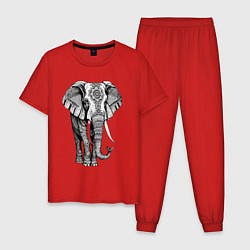 Пижама хлопковая мужская Нарисованный слон, цвет: красный