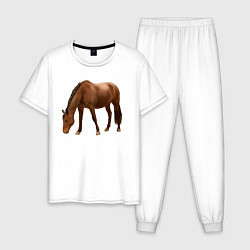 Пижама хлопковая мужская Датская теплокровная лошадь, цвет: белый